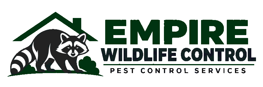 Wildlife Removal & Pest Control in Durham Region, York Region & the GTA