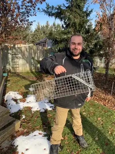 Empire Wildlife Control technician with a wildlife removal trap